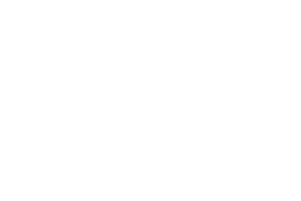 Meisel